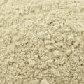 Organic Garlic Powder Bulk For Sale